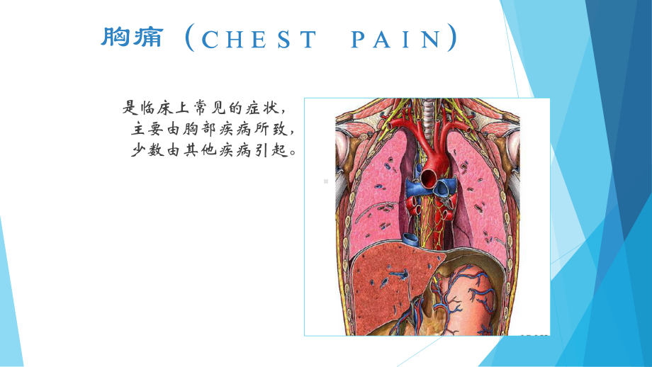 诊断学胸痛课件.ppt_第3页