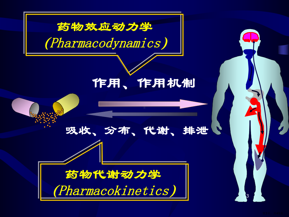 《分子药理学》PPT课件(PPT 45页).pptx_第3页