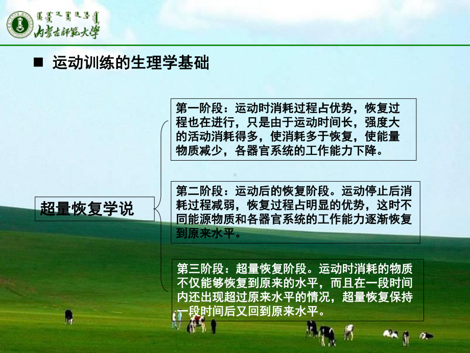 运动训练科学监控110324课件.ppt_第3页