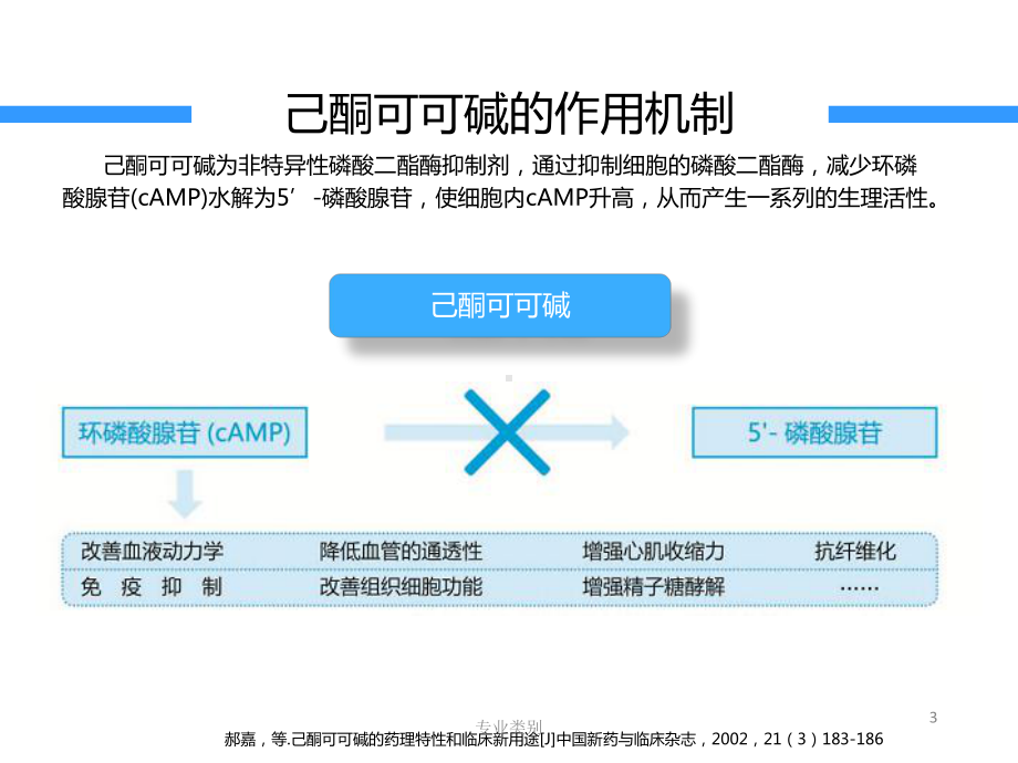 己酮可可碱神经内科注射液(行业精制)课件.pptx_第3页