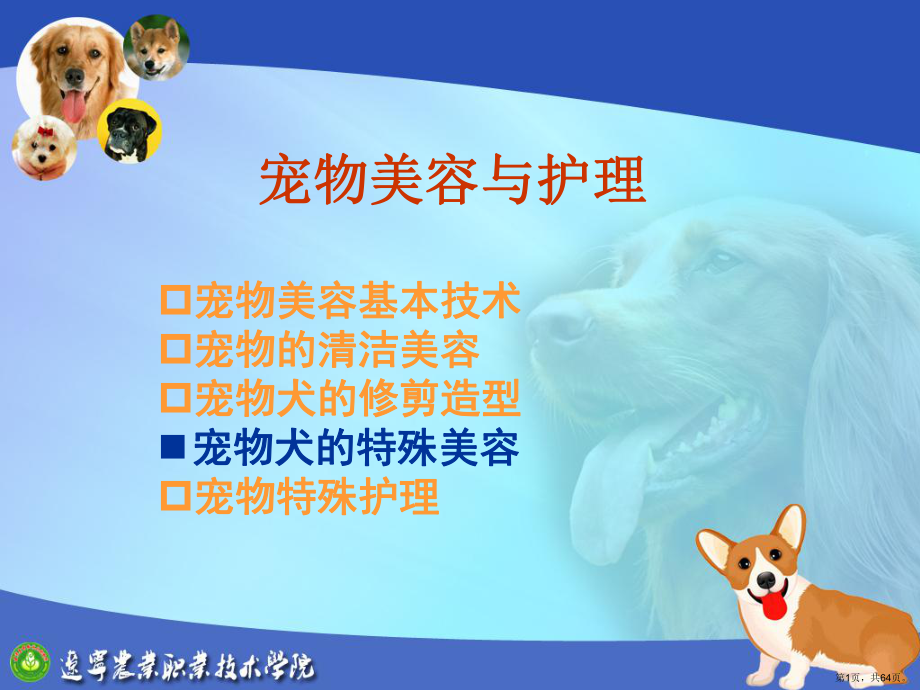 4宠物的特殊美容教学培训课件.ppt_第1页