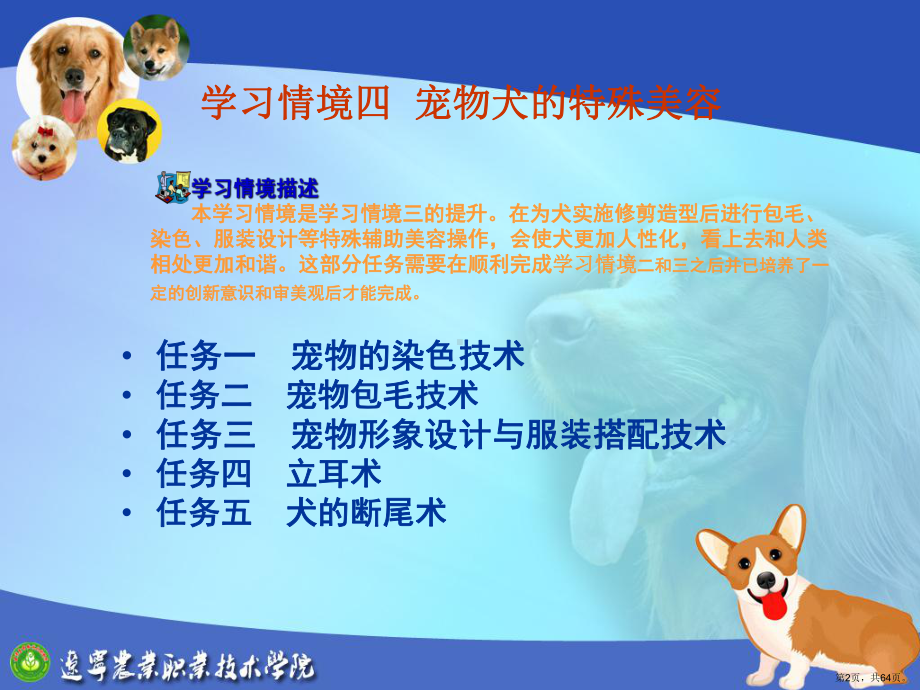 4宠物的特殊美容教学培训课件.ppt_第2页