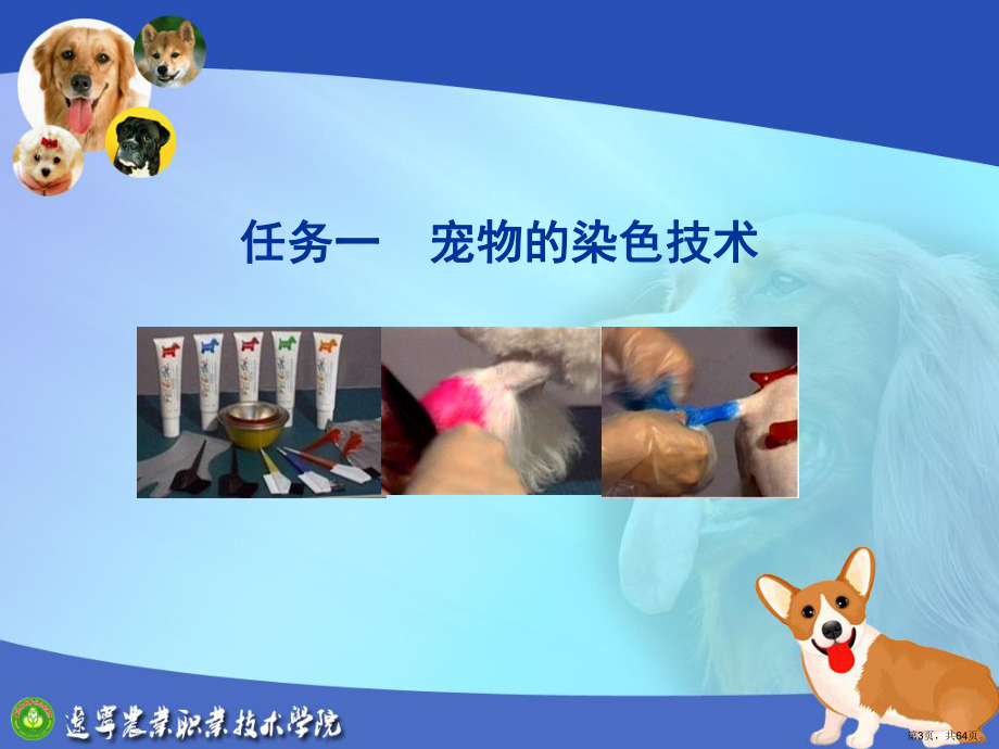 4宠物的特殊美容教学培训课件.ppt_第3页