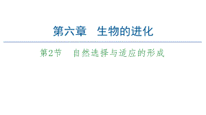 2020-2021学年新教材人教版生物必修2课件：第6章-第2节-自然选择与适应的形成-.ppt