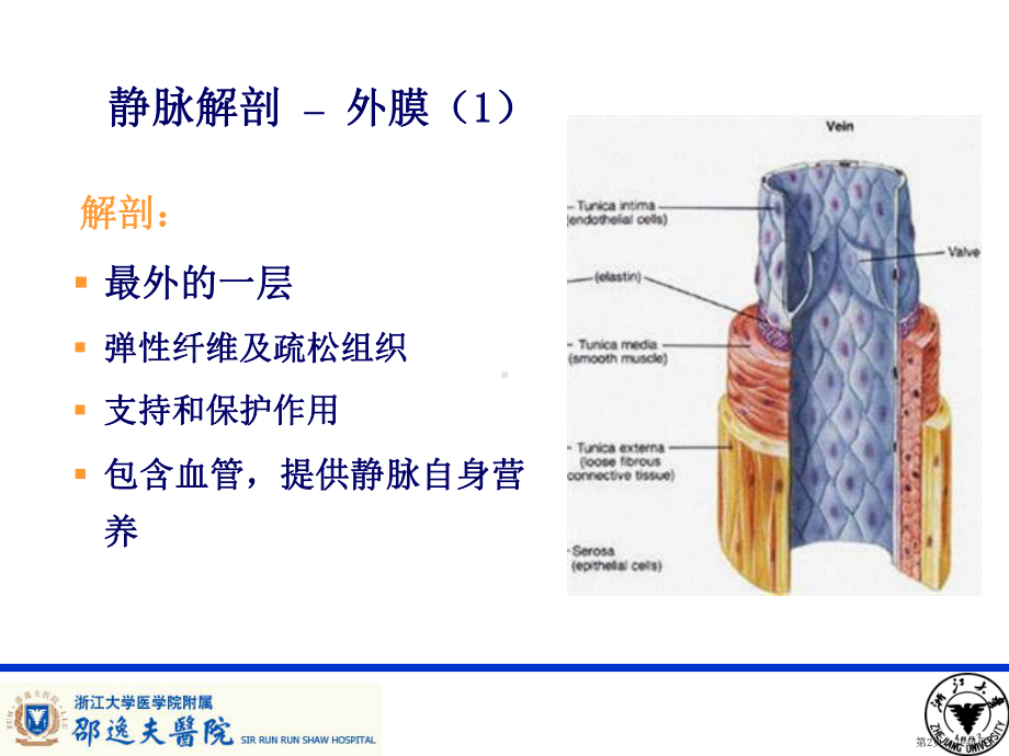 PICC导管相关性血栓形成及处理课件(PPT 44页).pptx_第2页