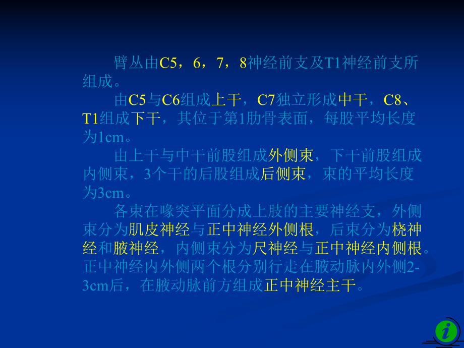 臂丛神经的解剖和损伤的诊断课件.ppt_第3页