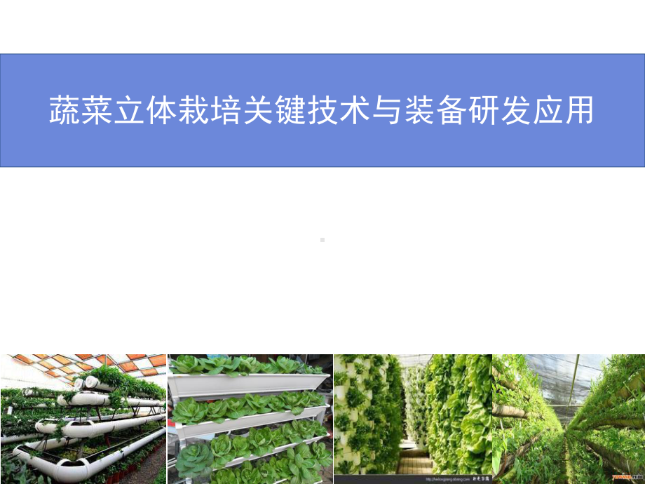 蔬菜立体栽培关键技术与装备研发应用课件.ppt_第1页