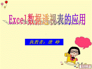 Excel数据透视表的应用-PPT课件.ppt