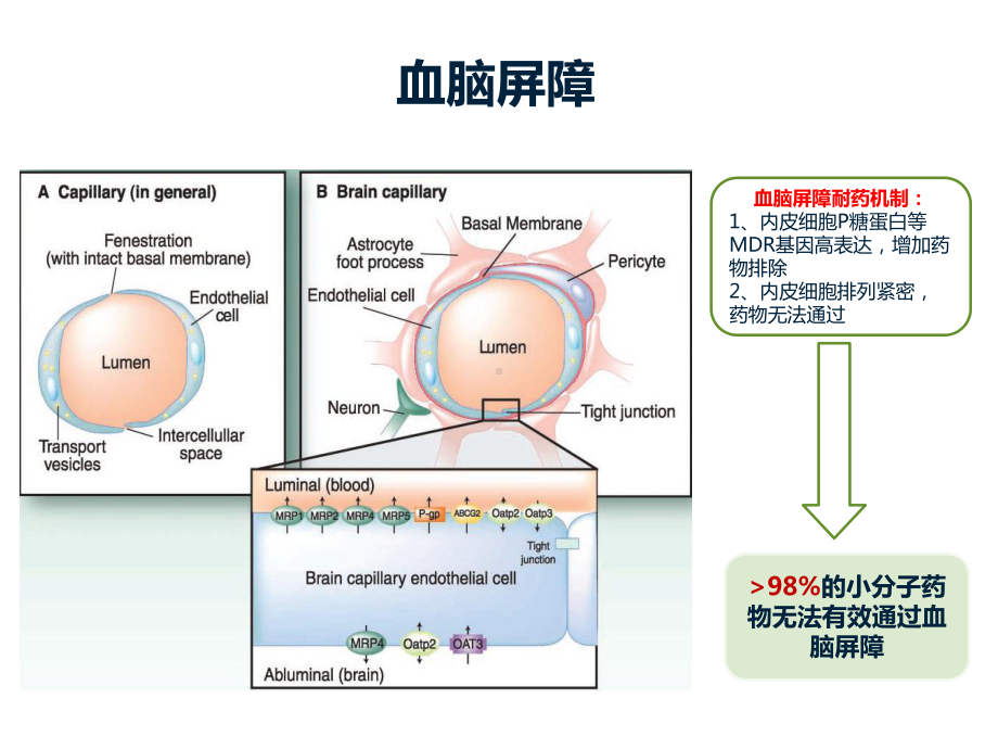 脑转移治疗的相关治疗进展课件.ppt_第3页