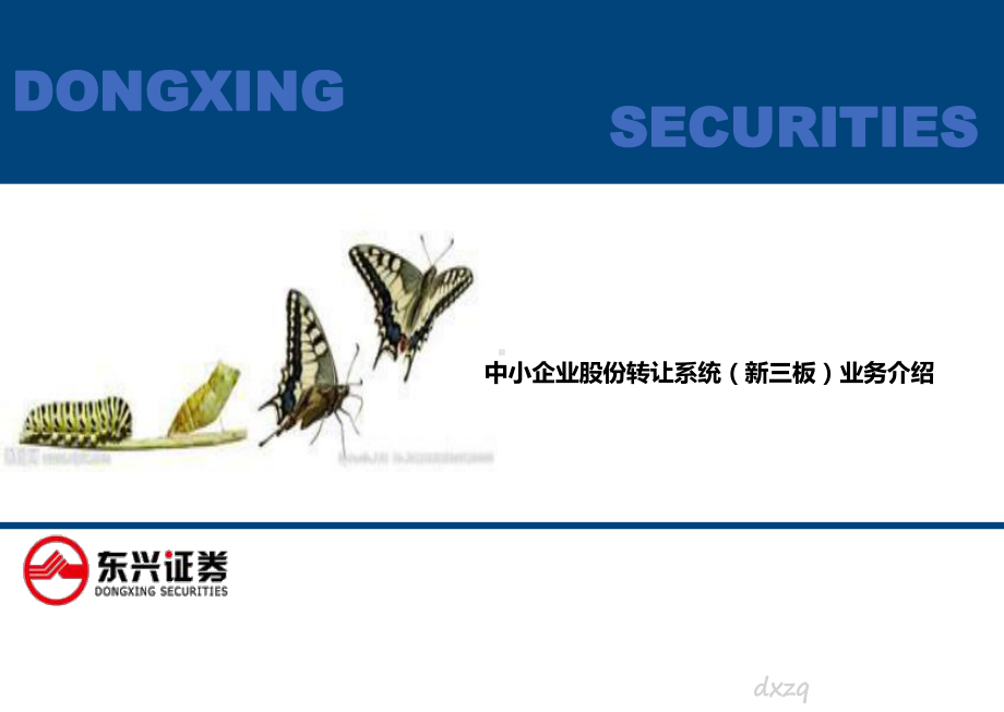 证券公司中小企业股份转让系统(新三板)业务介绍 课件.ppt_第1页