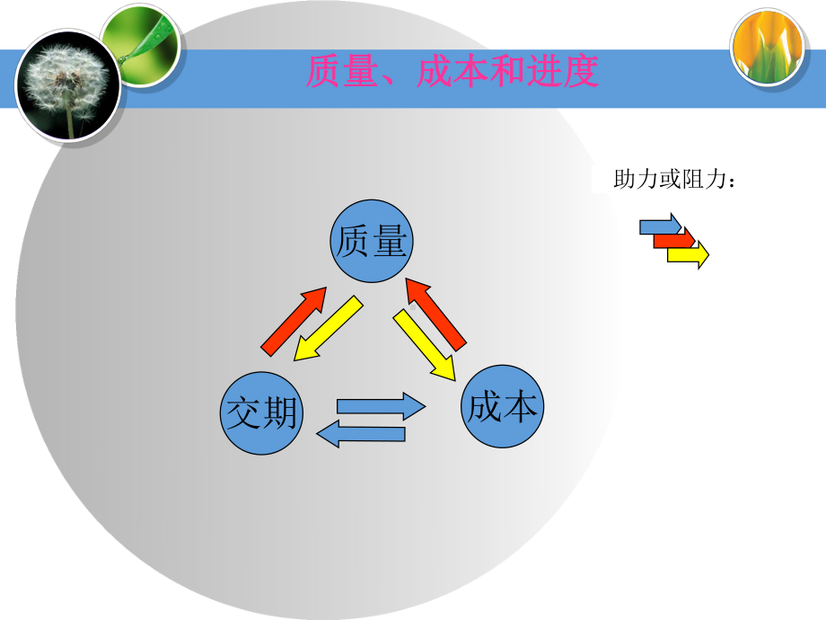 项目质量管理.ppt课件.ppt_第2页