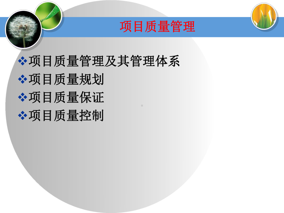 项目质量管理.ppt课件.ppt_第3页