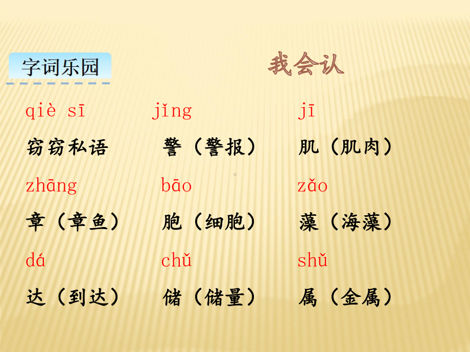 部编版语文三年级下册课件23海底世界（20页）.pptx_第3页