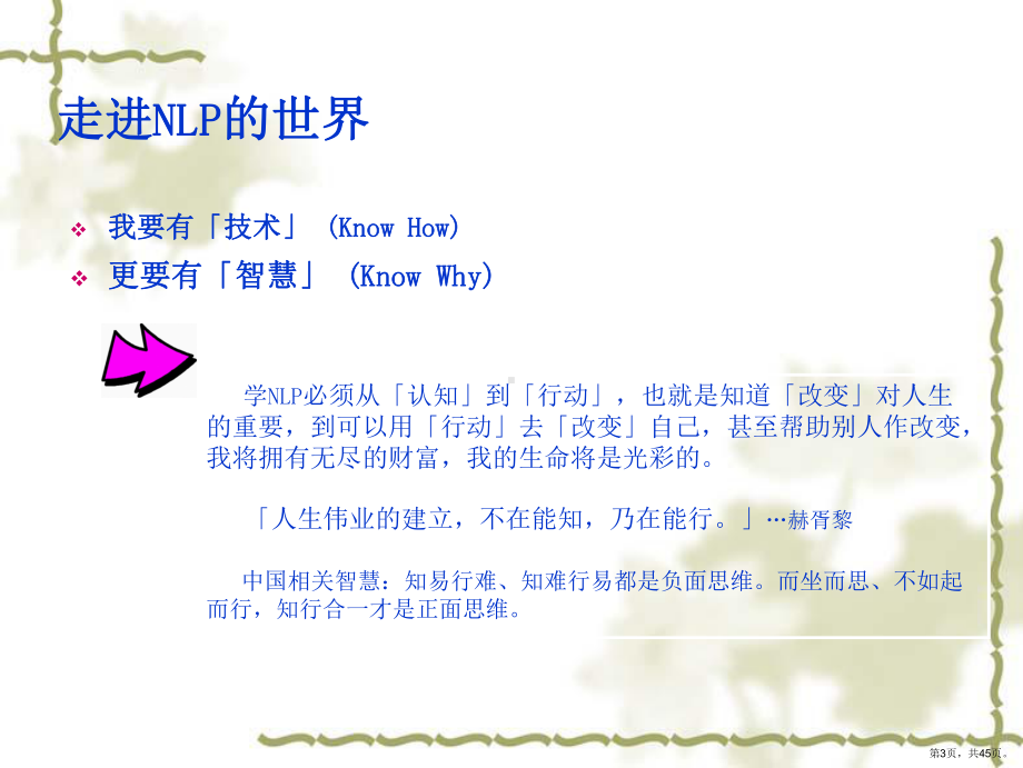 NLP简介-内训.ppt_第3页