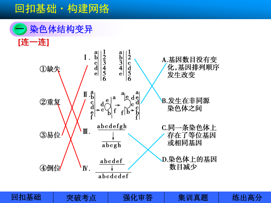 高中生物人教版第六单元第22讲染色体变异课件.ppt_第2页