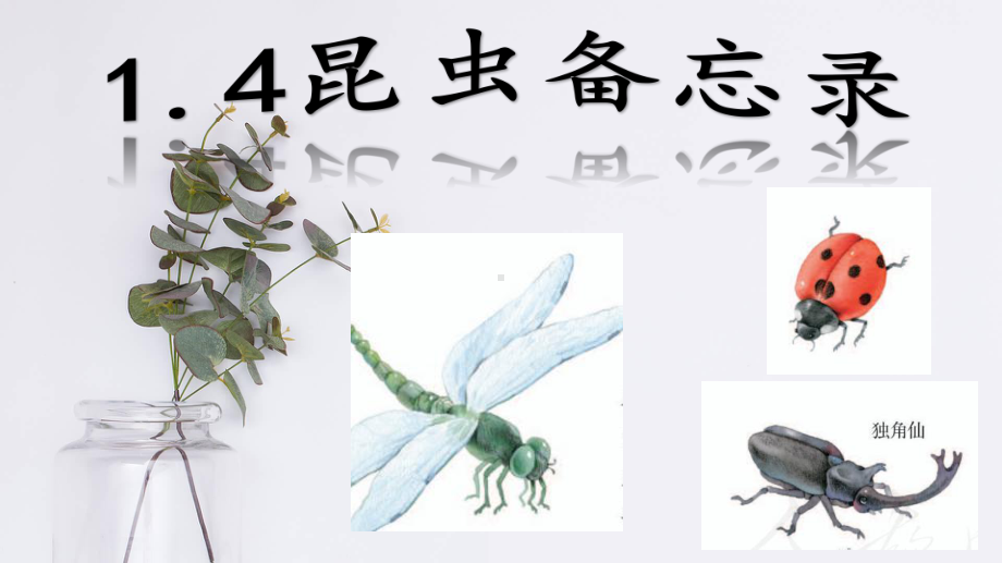 统编版三年级语文下册1.4昆虫备忘录课件（13页）.ppt_第1页