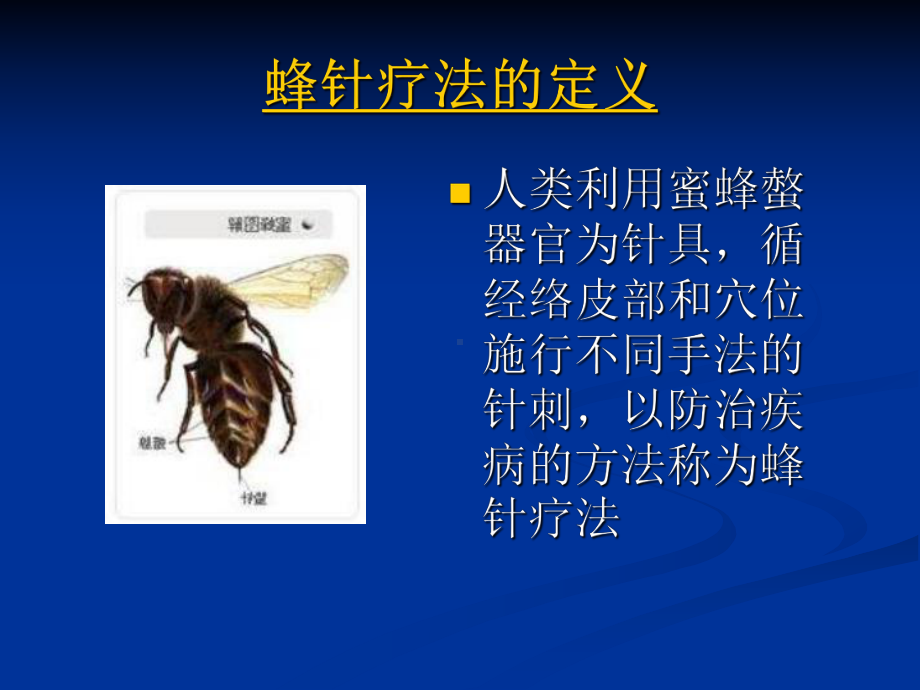 蜂针疗法简介课件.ppt_第2页