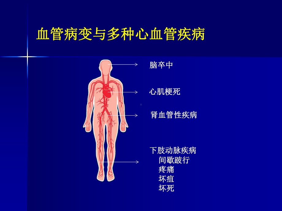 血管功能检测方法及临床意义课件.ppt_第3页