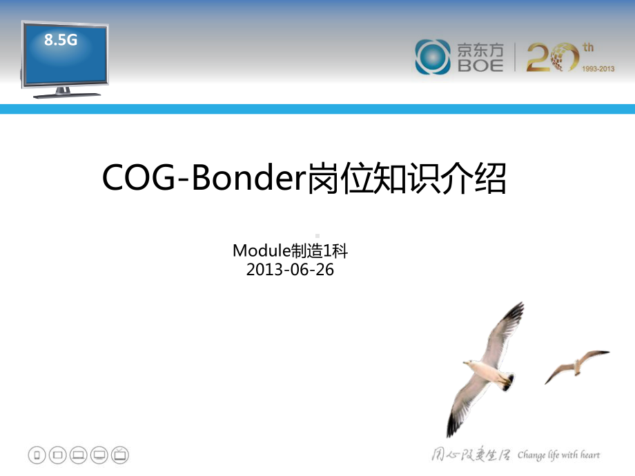 COG-Bonder岗位知识介绍(共41张).pptx_第1页