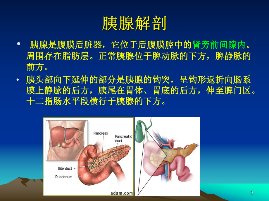 胰腺疾病的影像学诊断标准探讨课件.pptx_第3页