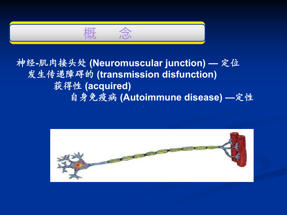 重症肌无力(MG)的护理查房课件.ppt_第3页