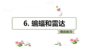 部编版四年级上册语文 6.蝙蝠和雷达 习题课件.ppt