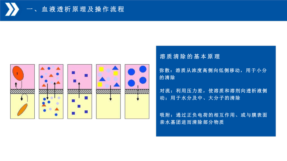 血透感染控制策略-课件.pptx_第2页