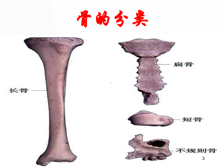 骨科实习小讲课医学PPT课件.ppt_第3页