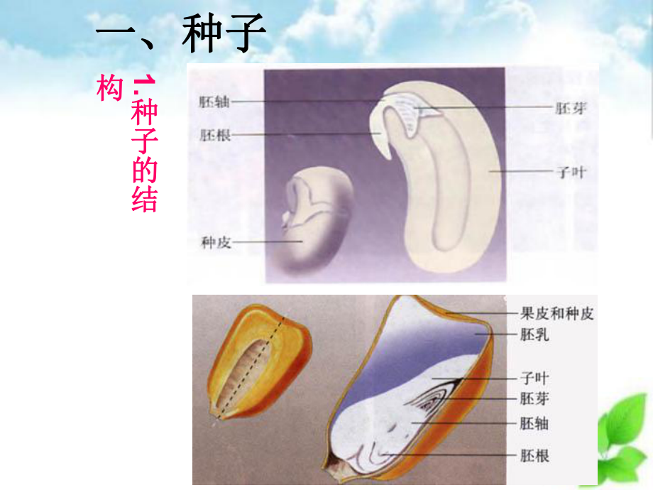 农作物的栽培与管理专题ppt课件(自制)-通用.ppt_第2页