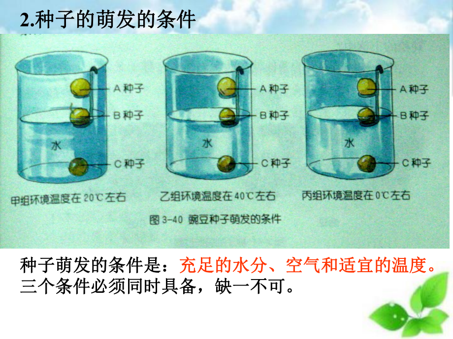 农作物的栽培与管理专题ppt课件(自制)-通用.ppt_第3页