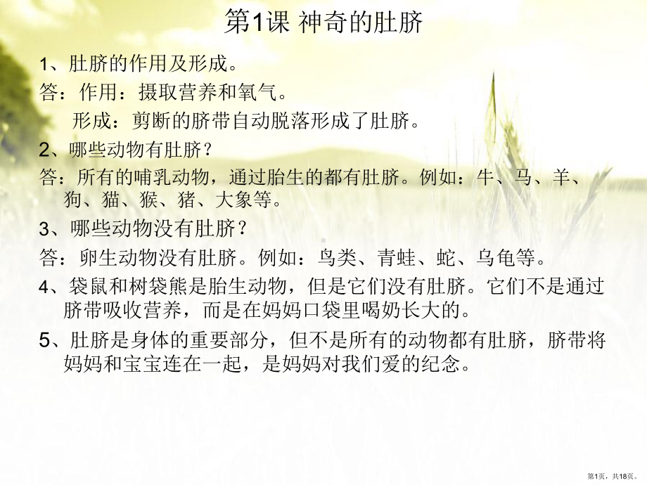 小树小树快长大课件(PPT 18页).pptx_第1页