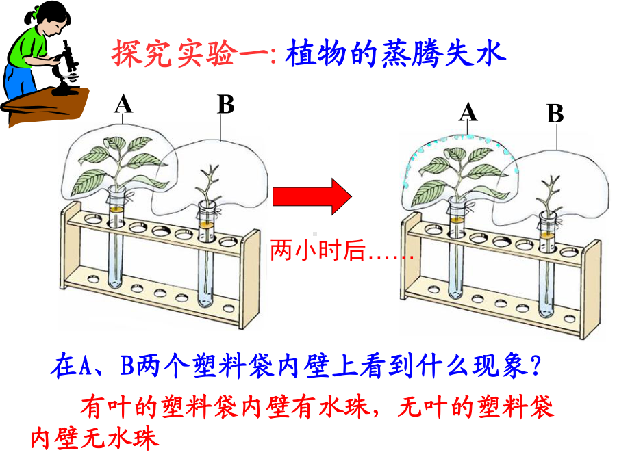 《蒸腾作用》课件...ppt_第3页