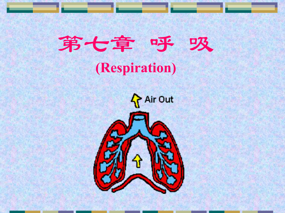 人体解剖生理学(全套下册课件258P).ppt_第1页