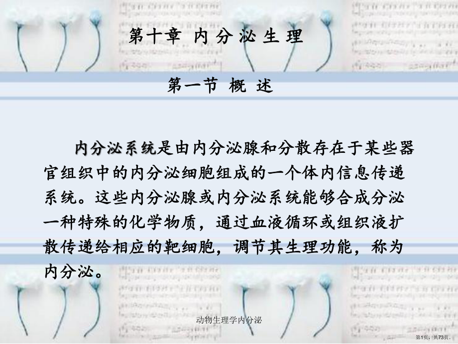 动物生理学内分泌课件(PPT 73页).pptx_第1页