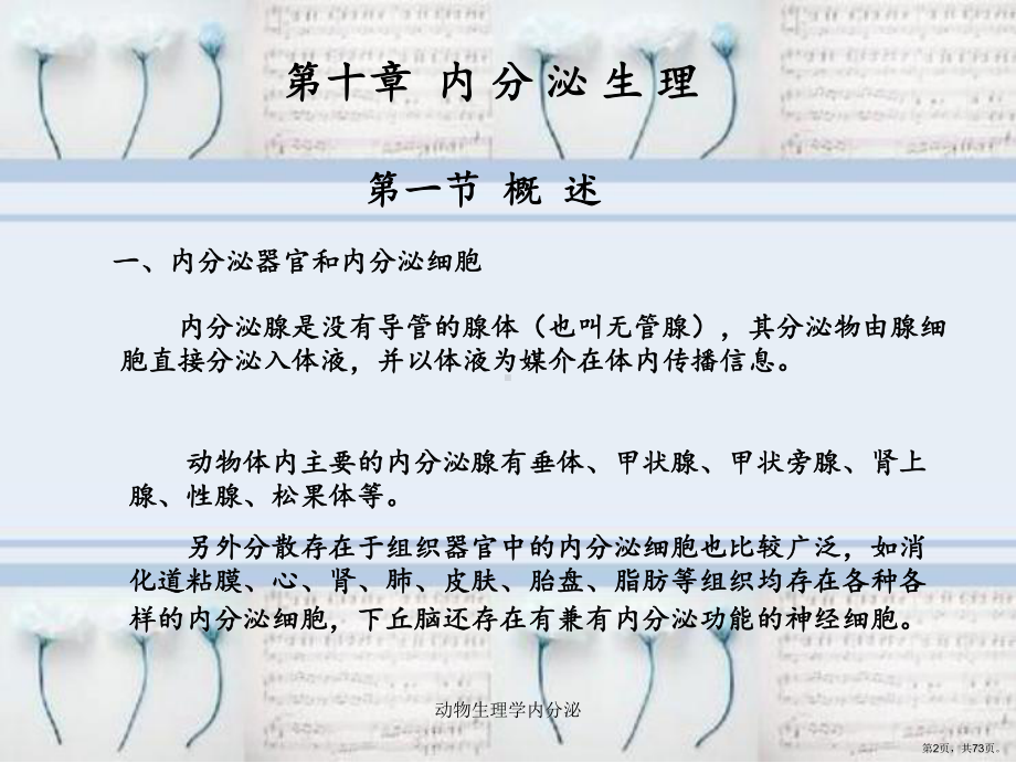 动物生理学内分泌课件(PPT 73页).pptx_第2页