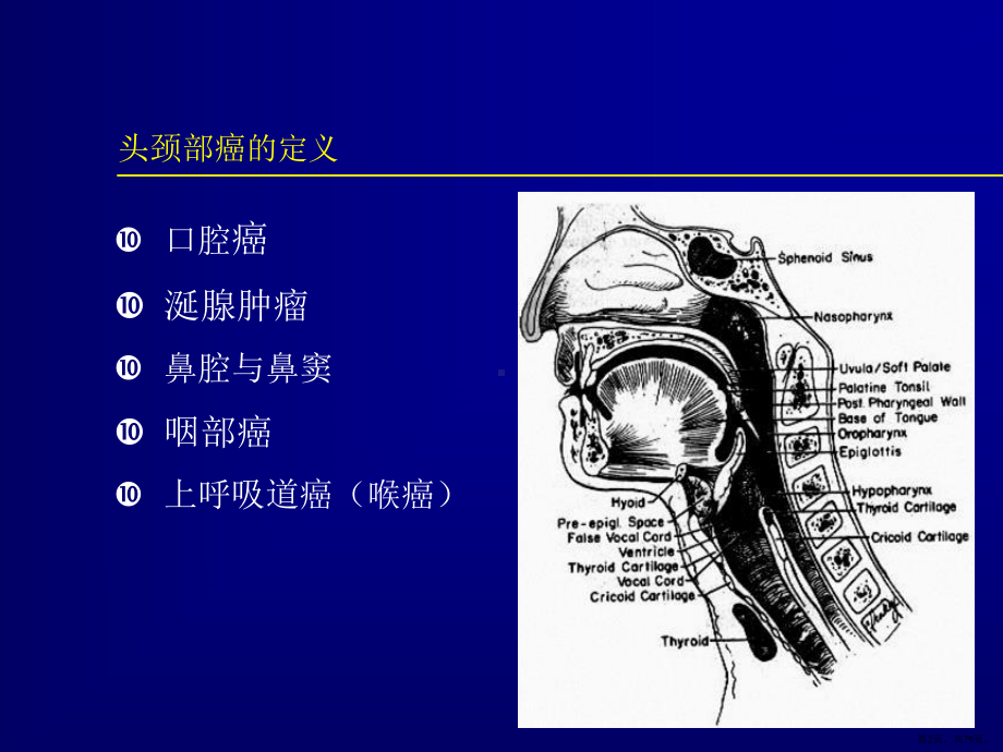 头颈部癌的放射治疗PPT参考幻灯片课件(PPT 79页).pptx_第2页