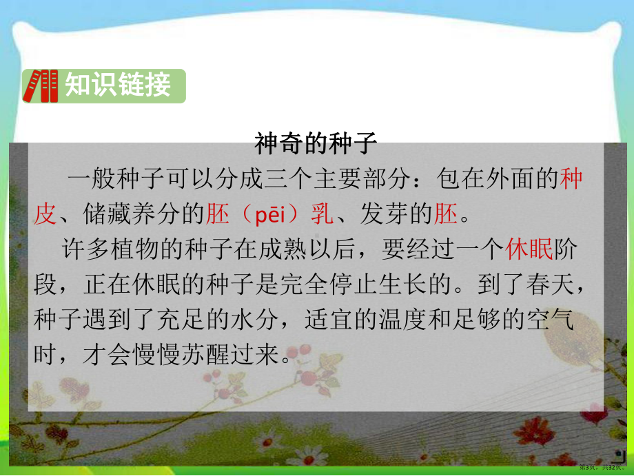 三年级语文上册9 那一定会很好 公开课课件(PPT 32页).pptx_第3页