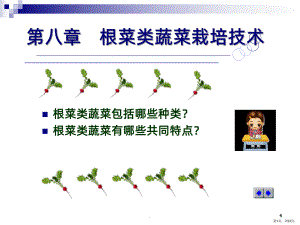 根菜类蔬菜栽培技术PPT课件(PPT 53页).pptx