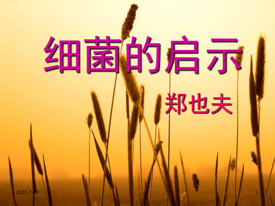 《细菌的启示》ppt课件全面版.ppt_第1页