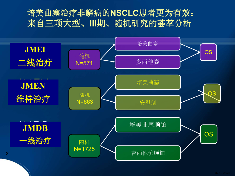 晚期非小细胞肺癌治疗课件(PPT 50页).pptx_第2页