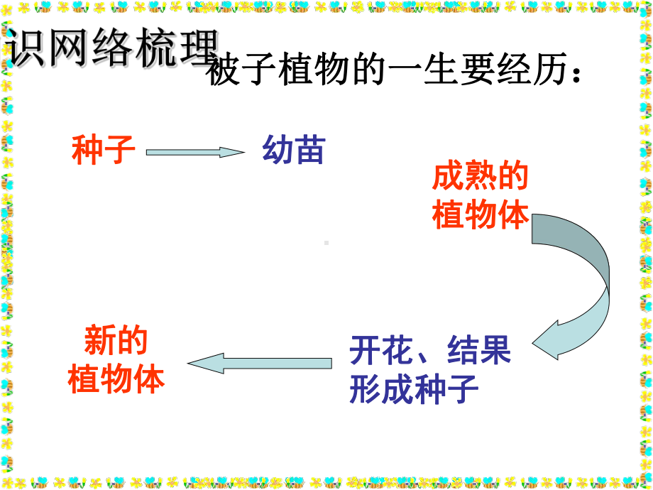 《被子植物的一生》ppt精品课件.ppt_第2页