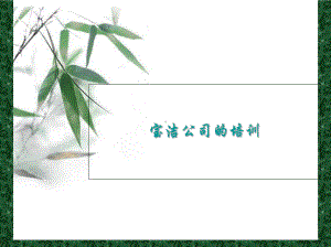 宝洁公司培训.ppt