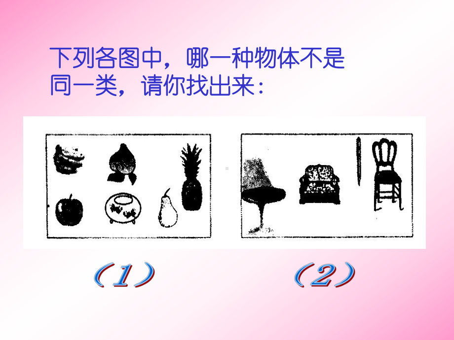 （数学课件）相同与不同.ppt_第2页