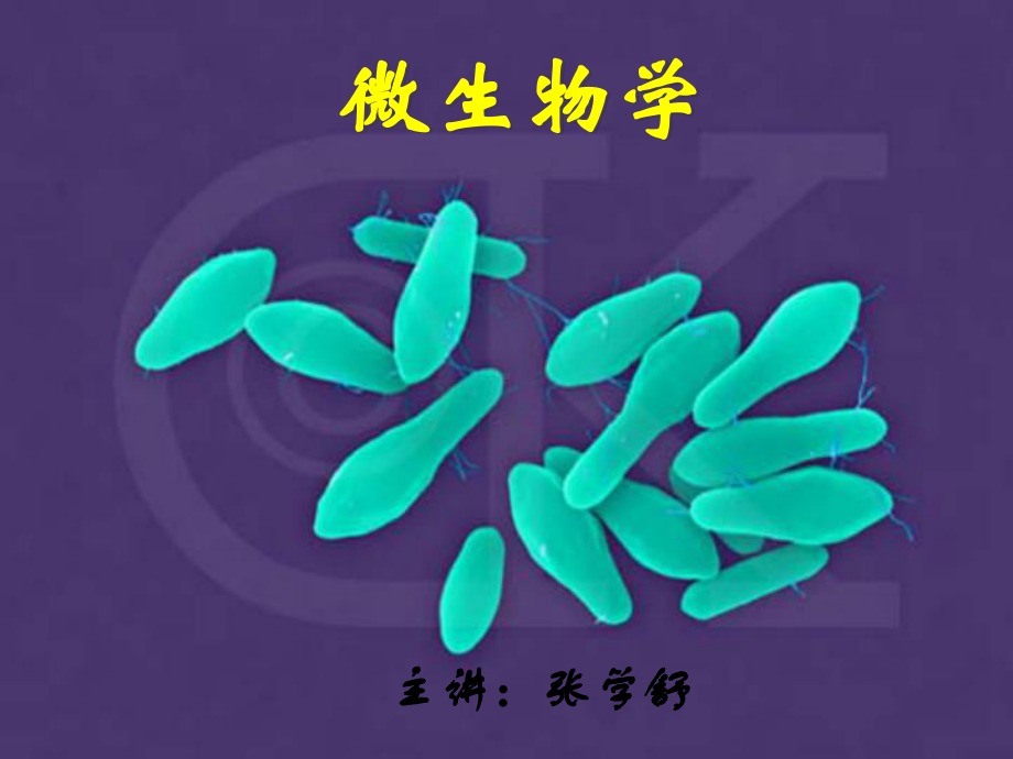 （生物课件-）第二章原核微生物.ppt_第1页