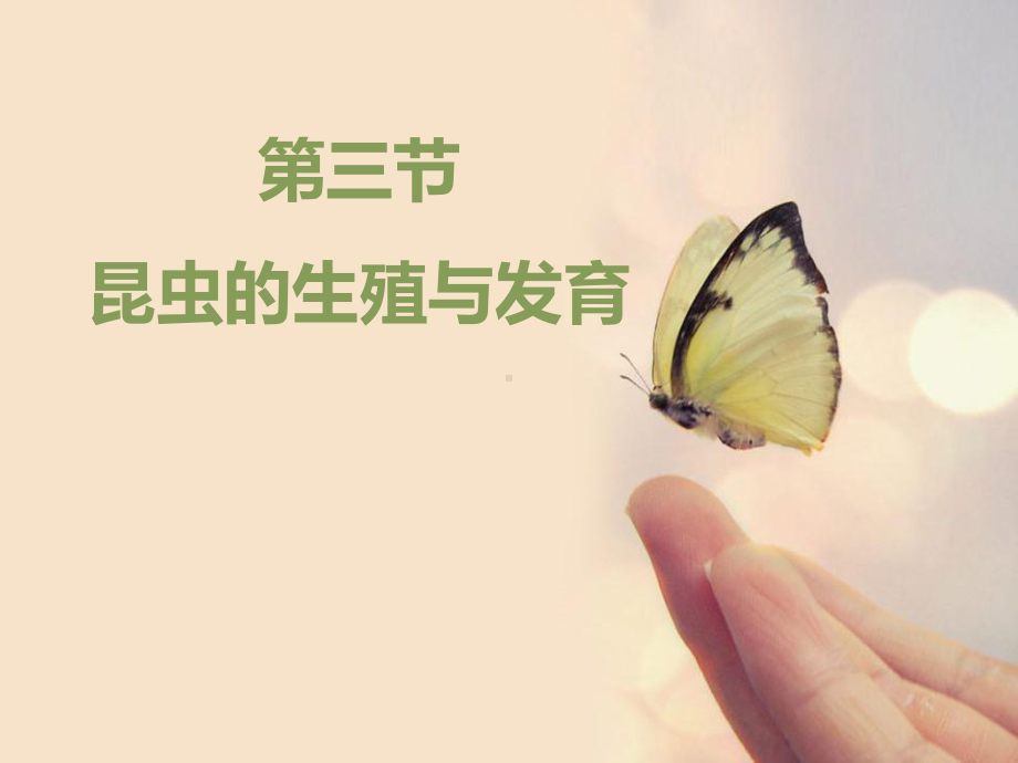 《昆虫的生殖与发育》PPT课件.pptx_第1页