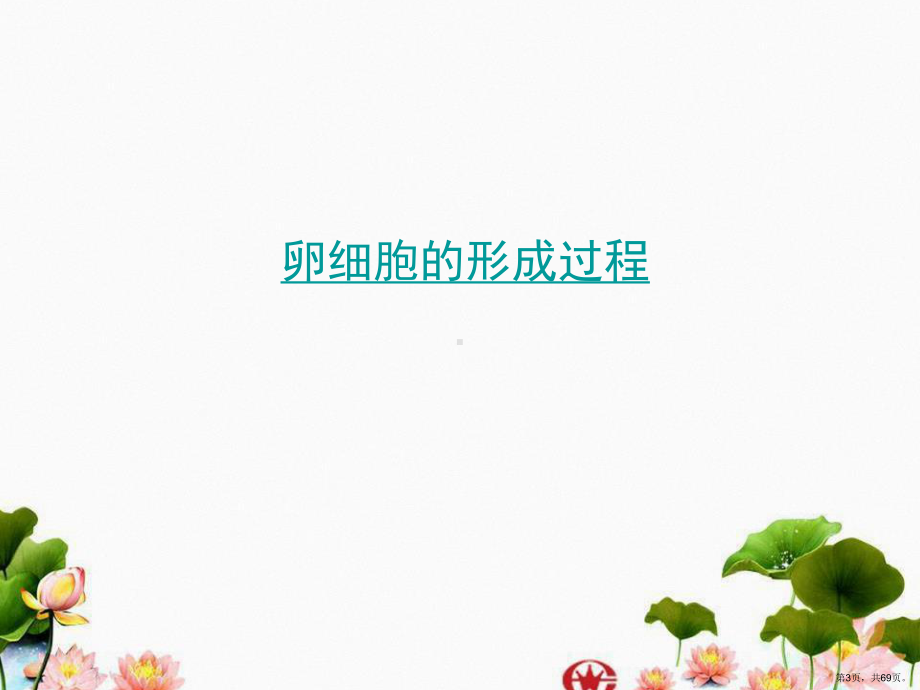 卵细胞的形成课件(PPT 69页).pptx_第3页