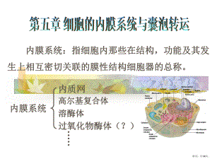 临床细胞的内膜系统与囊泡转运课件(PPT 100页).pptx