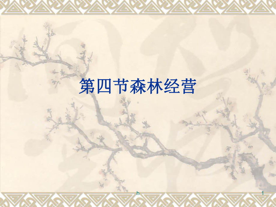 《森林经营》PPT课件.ppt_第1页