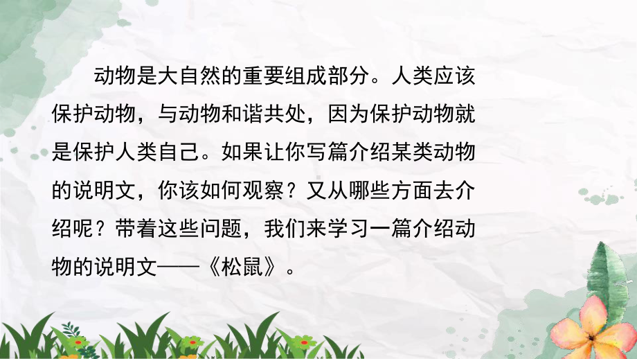 《松鼠》PPT优质课件-.pptx_第3页