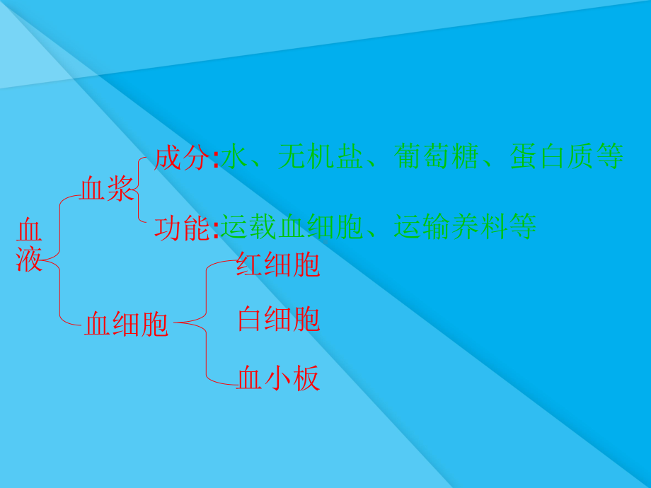 人体内的物质运输和能量供给ppt-苏教版优秀课件.ppt_第3页